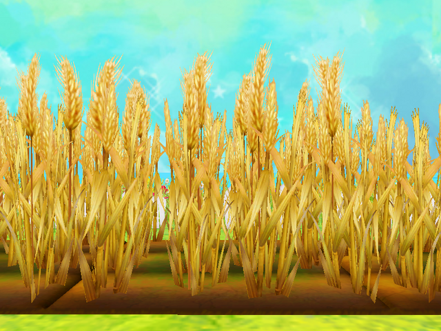 檔案:小麥田03.png
