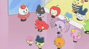 Ms perfect birthday episode