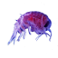 Craftitude ingredient plankton