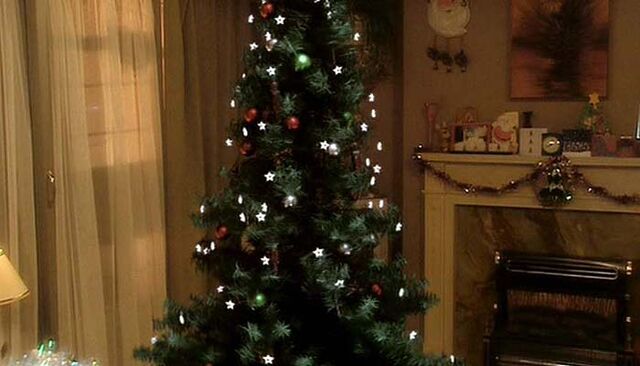 File:Christmas tree.jpg