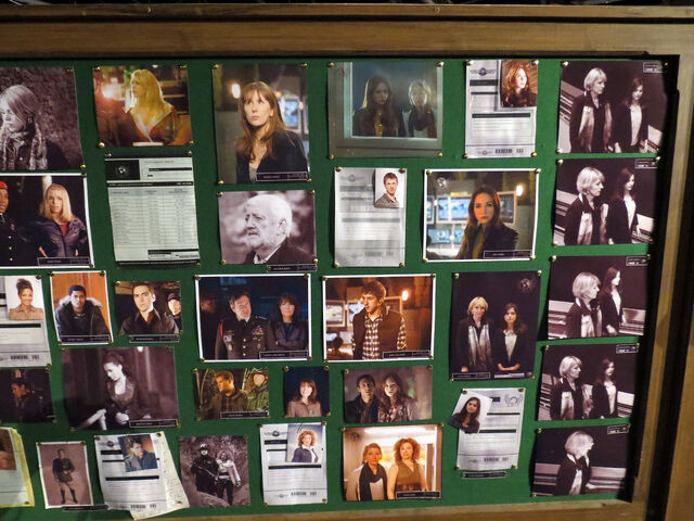File:Companion wall 2.jpg