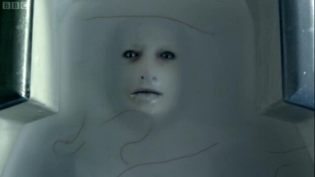 File:The Flesh face.jpg