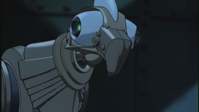 File:Squawk.jpg