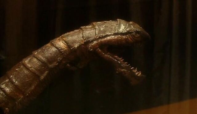 File:Museum artifact (Dalek).jpg