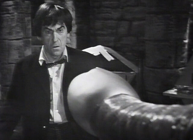 File:SecondAttackedByKrotonSnake.jpg