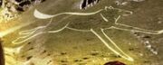 Chalk Drawing Wolfenden
