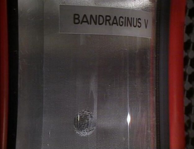 File:Bandraginus V.jpg