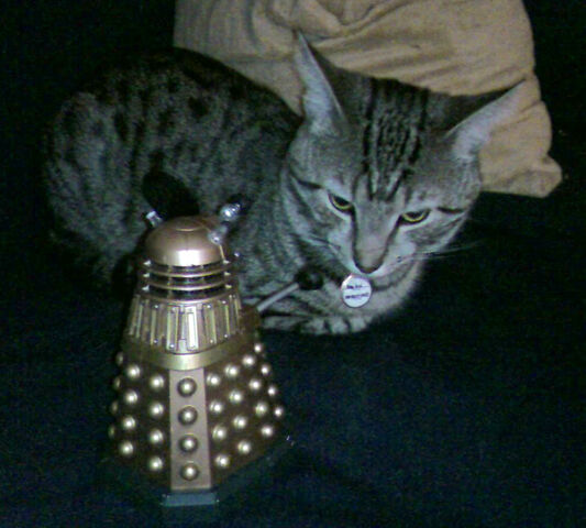 File:BonAmiAndDalek.jpg