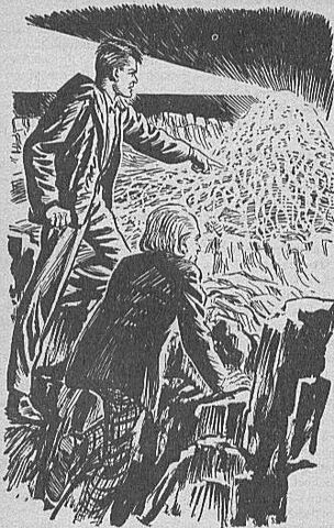File:Zarbip54.jpg