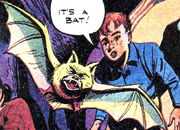 Bat - Shark Bait