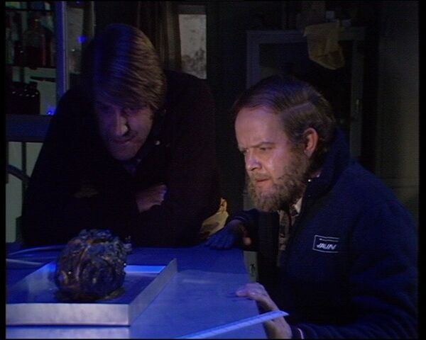 File:Seedsofdoom Thawing Krynoid pod.jpg