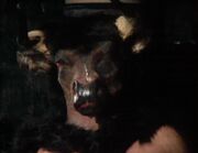 Minotaur