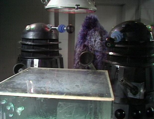File:Boys and their toys.jpg