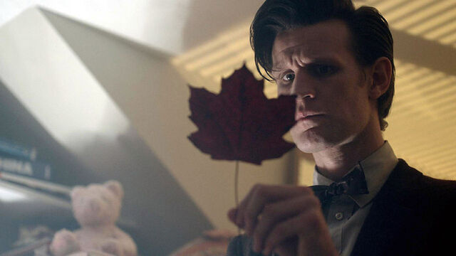 File:101 maple leaf.jpg