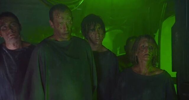 File:The Flesh.jpg
