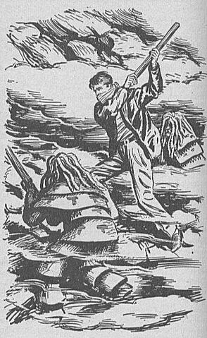 File:Zarbip140.jpg