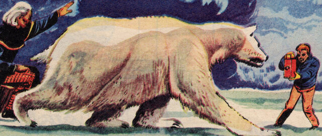 File:PolarBear.jpg