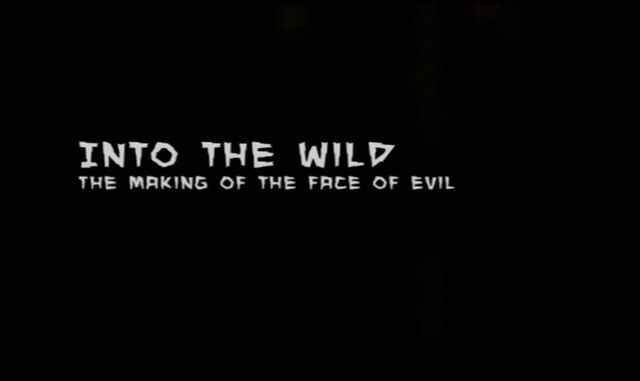 File:Into the Wild.jpg
