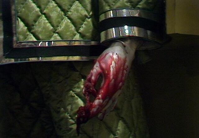 File:Robophobia.jpg