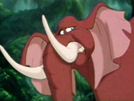 Tantor6