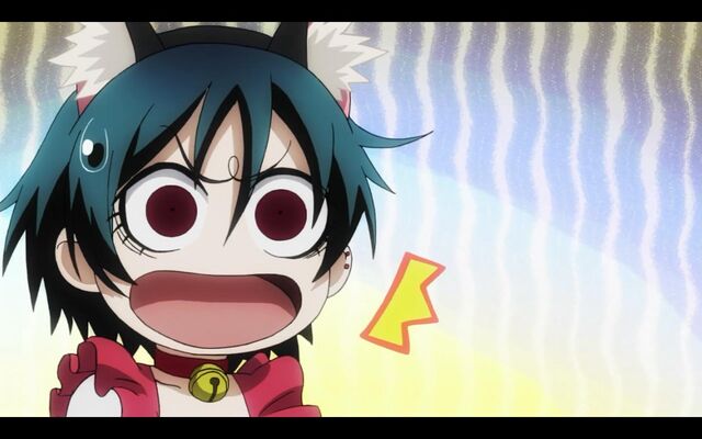 File:Kirie cat confused.jpg