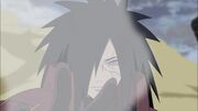 Madara absorve.jpg