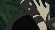 Zider intangible.png