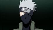 Kakashix.jpg