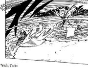 Hiramekarei alargada.jpg