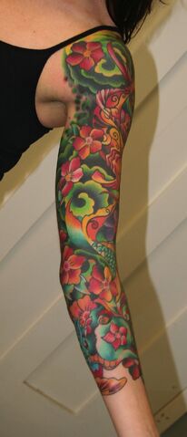 File:Sleeve10.jpeg