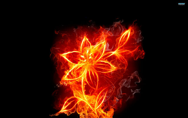 File:Fire-flower.jpg