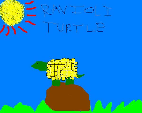 File:Ravioli Turtle.jpg