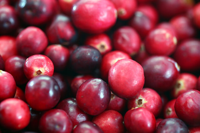 File:Cranberries20101210.jpg
