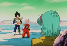 Vegeta after getting the last Dragon Ball