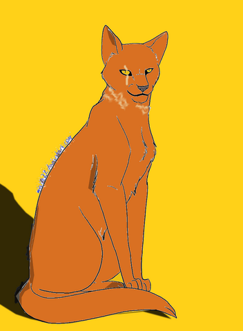 Datei:Narbenstern by mireille29-d3eyb1b.png
