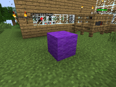 ChunkLoading Block