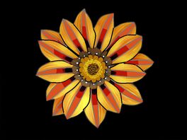 Molten Flower