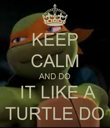 Keep-calm-and-do-it-like-a-turtle-do