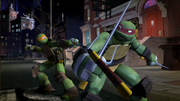 Turtles' first city fight