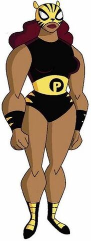 File:Pantha-teen-titans-10393977-190-500.jpg