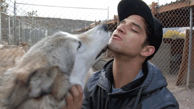 File:Tyler Wolf Kiss.png