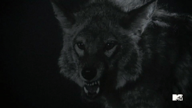 Datei:Wolf.png