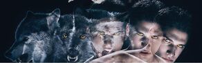 Scott loup.jpg