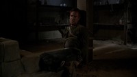311image20