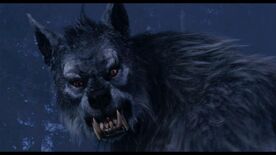 Gabe WolfForm