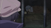 Nello's death