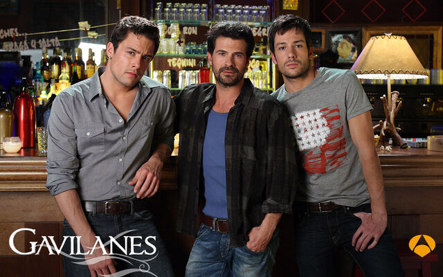 Archivo:Gavilanes.jpg