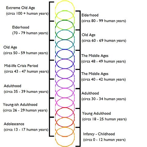File:In-Depth+Shadowling+Aging+Chart+(Theoreticals+Included).jpg
