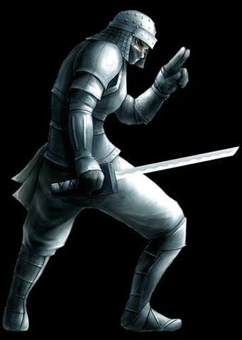 File:Rikimaru armour.jpg