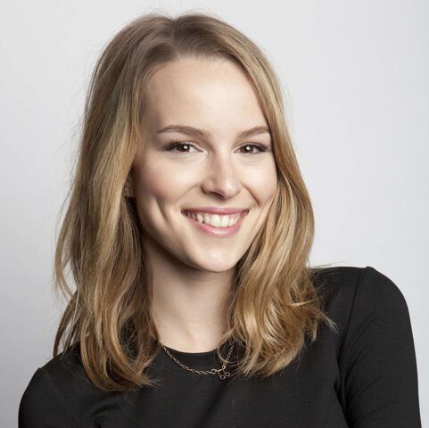 Súbor:Bridgit ikona.jpg